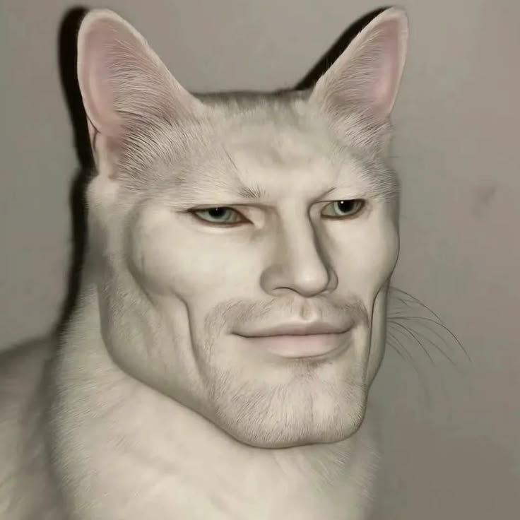 Kontributor